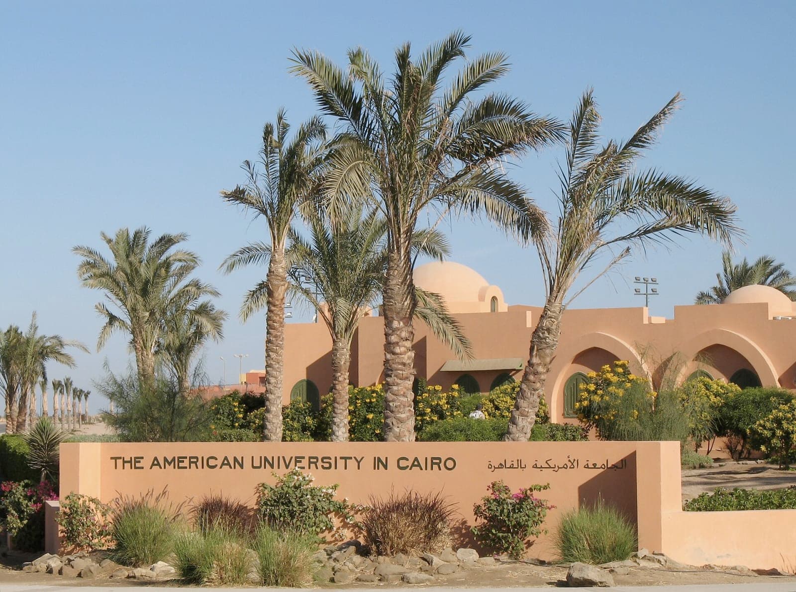 From Hurghada: El Gouna Private City Tour — Lagoons, Marina & Downtown — 2