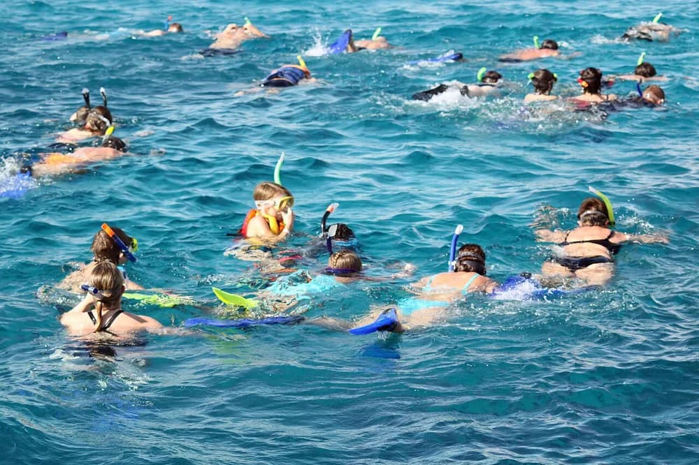 Ozirea Island — Snorkeling, Island Pool & Beach Club