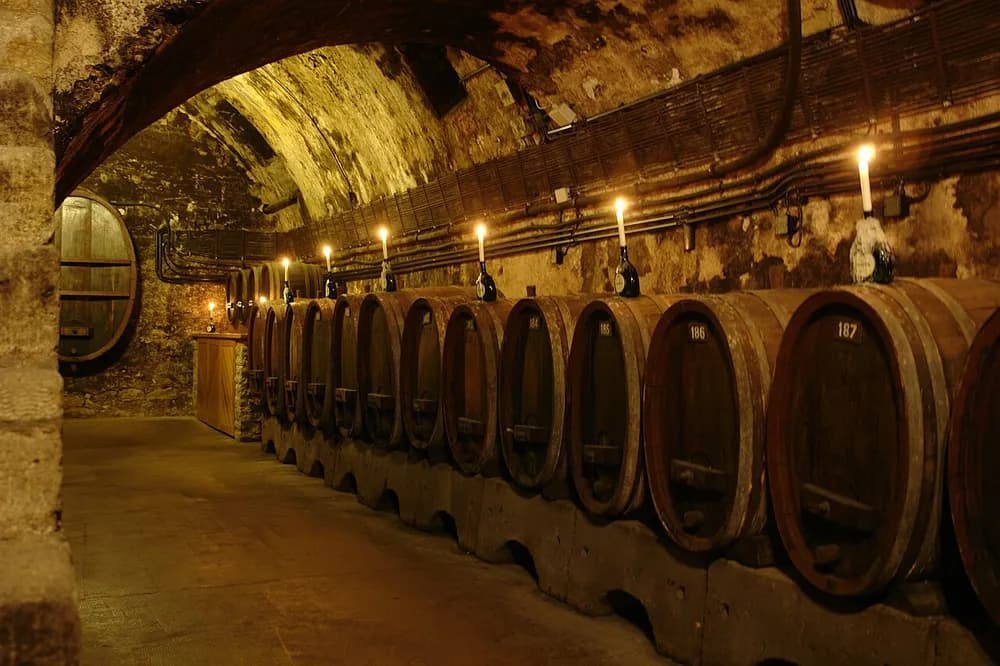 Paseo premium por el casco antiguo de Würzburg con los tres mejores vinos francos