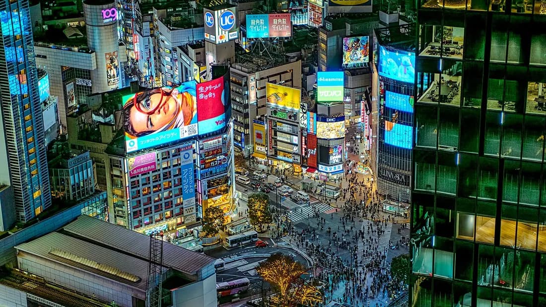 Shibuya and Meiji Shrine
