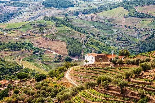 Douro Valley vineyards and viewpoints