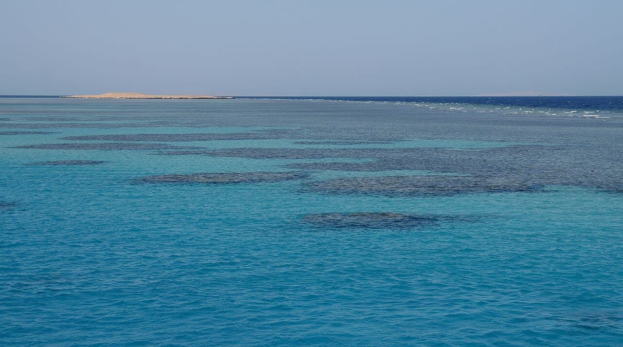 Insel Nemo — 4