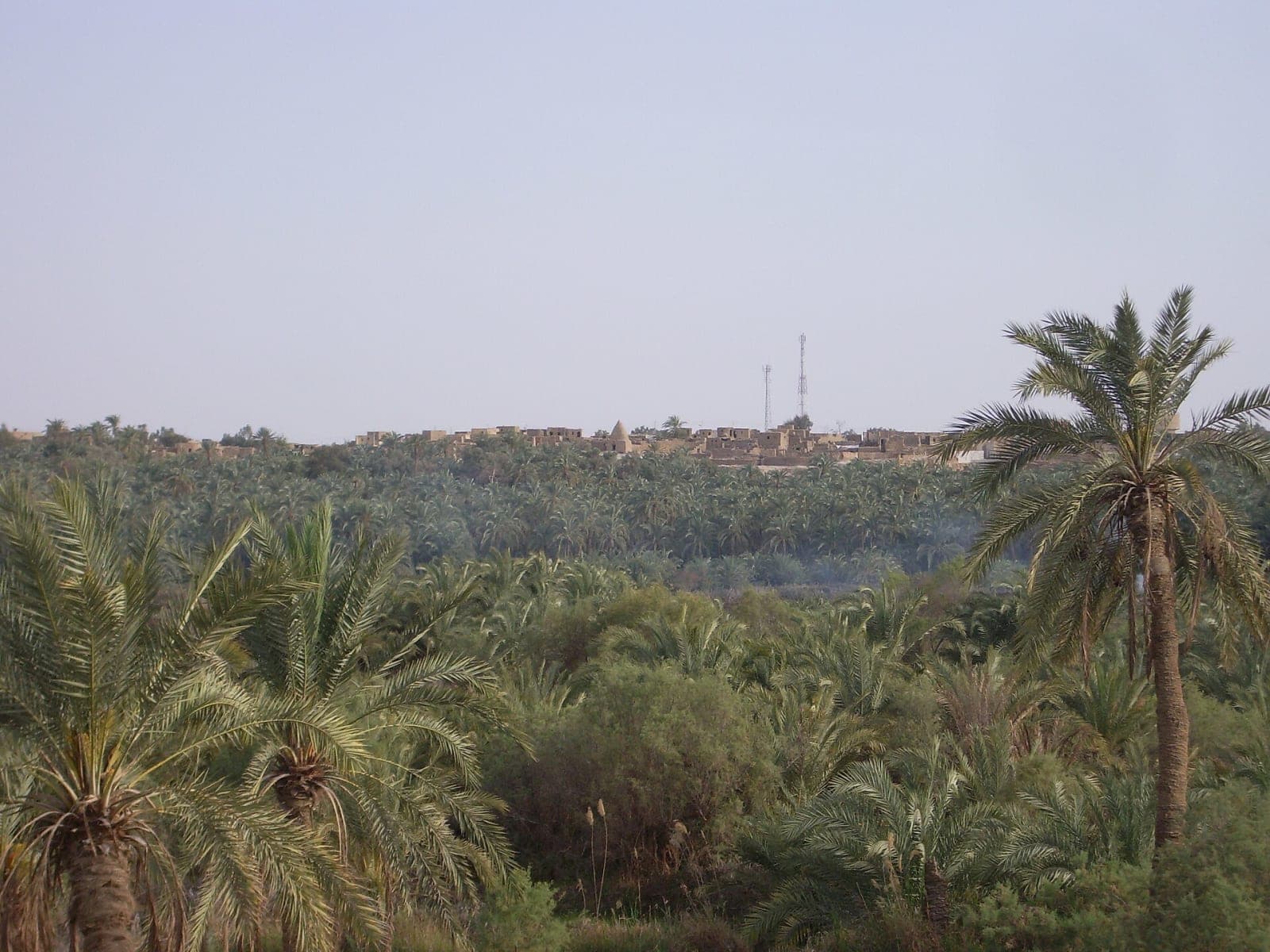 Bahariya Oasis