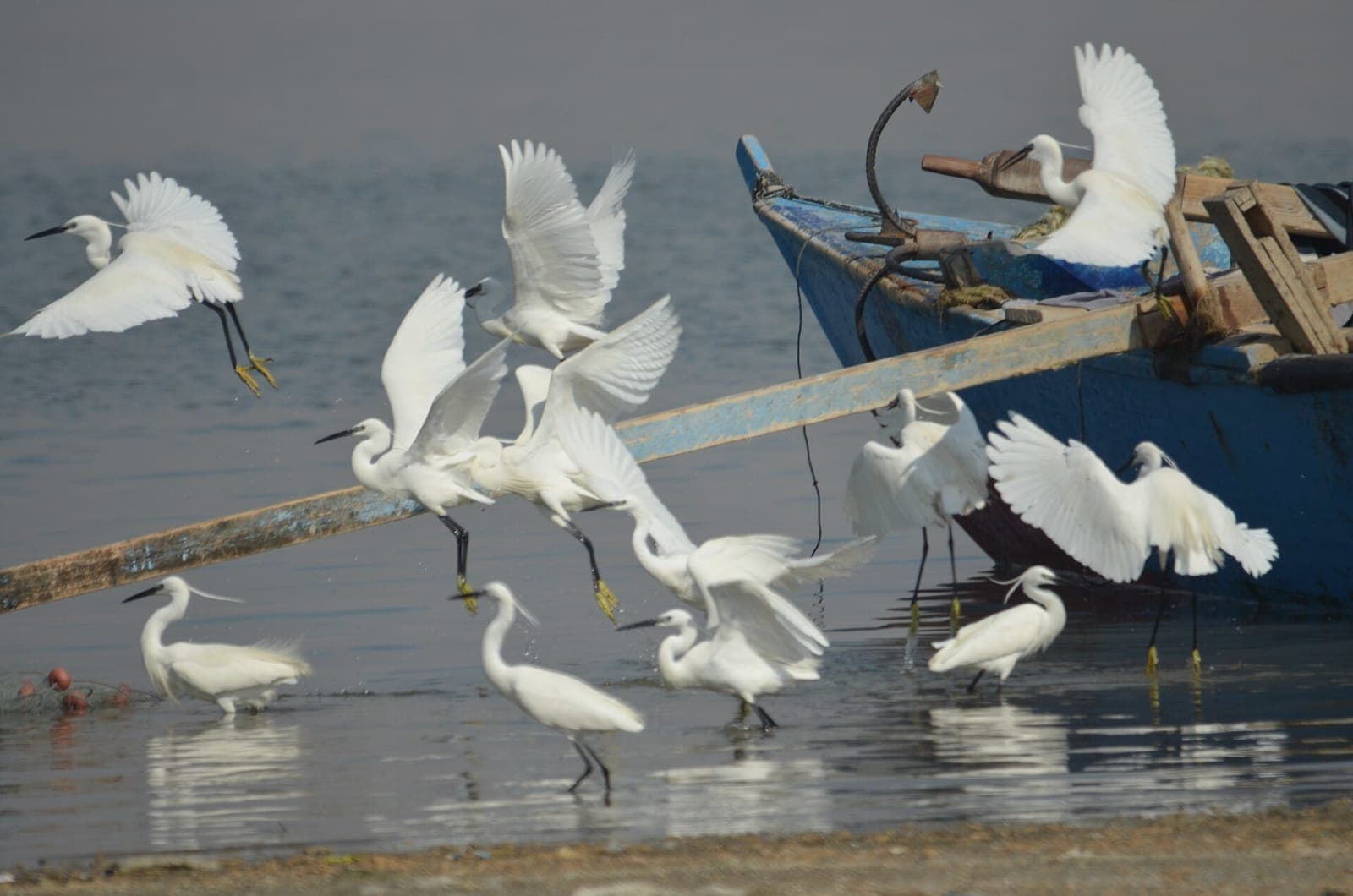 Lake Qarun
