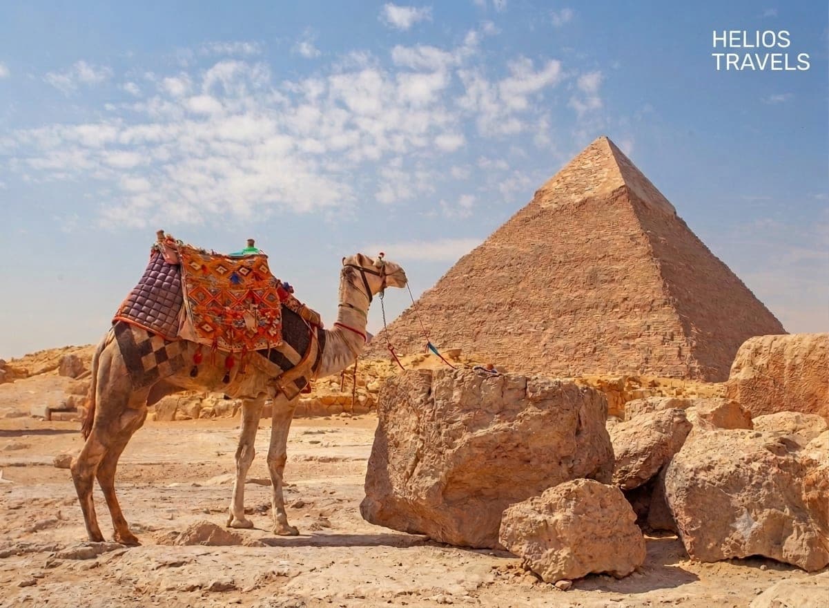 A traditional camel resting in front of the Step Pyramid.