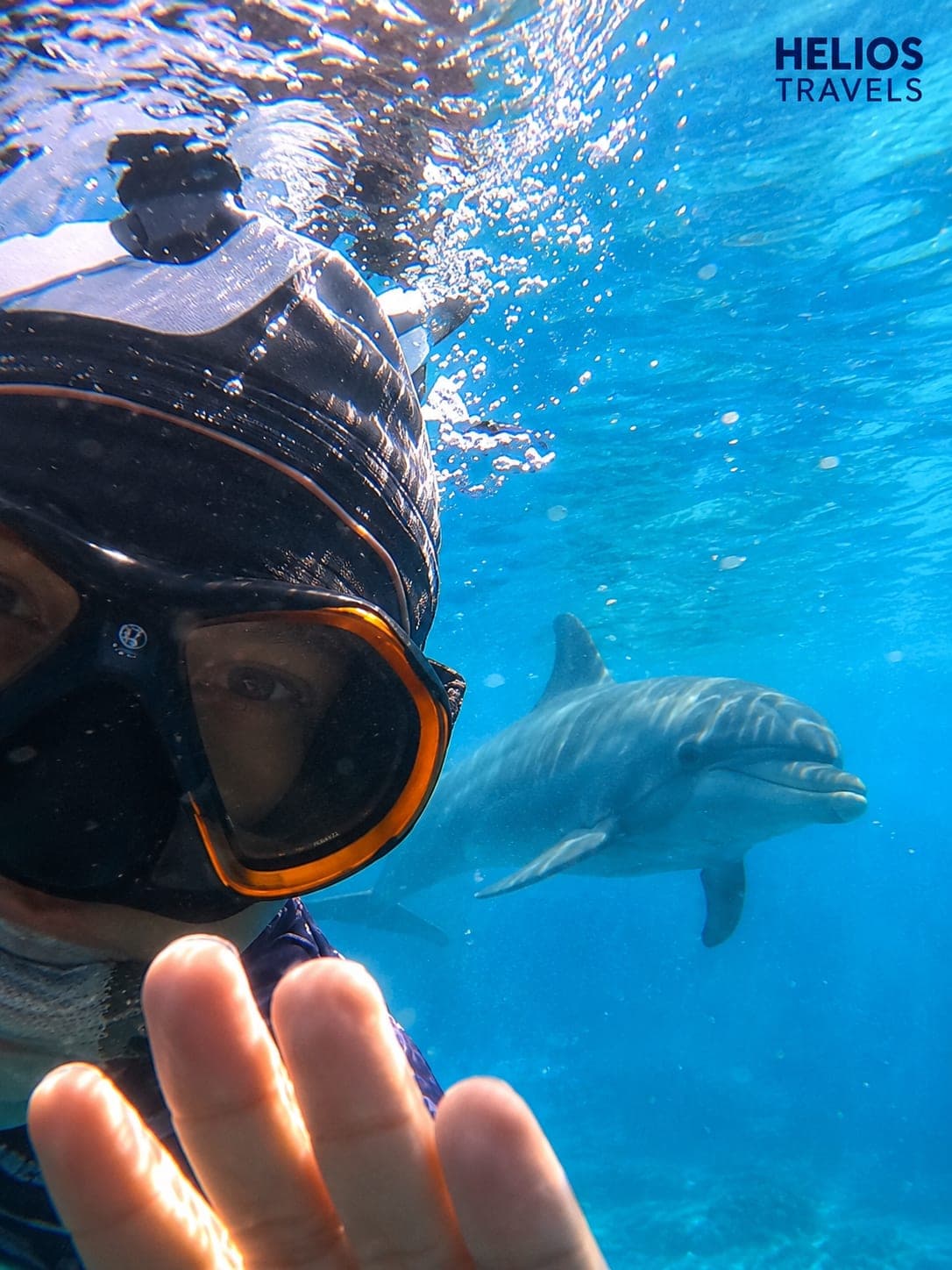 Dolphin House reef