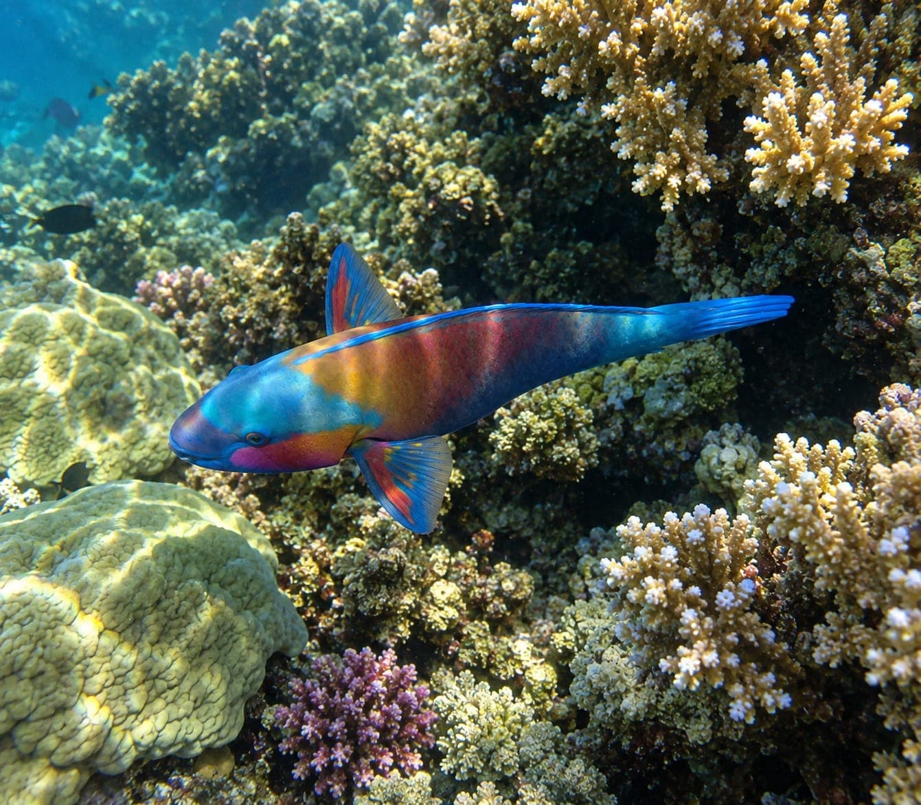 Sharm El Naga — 6