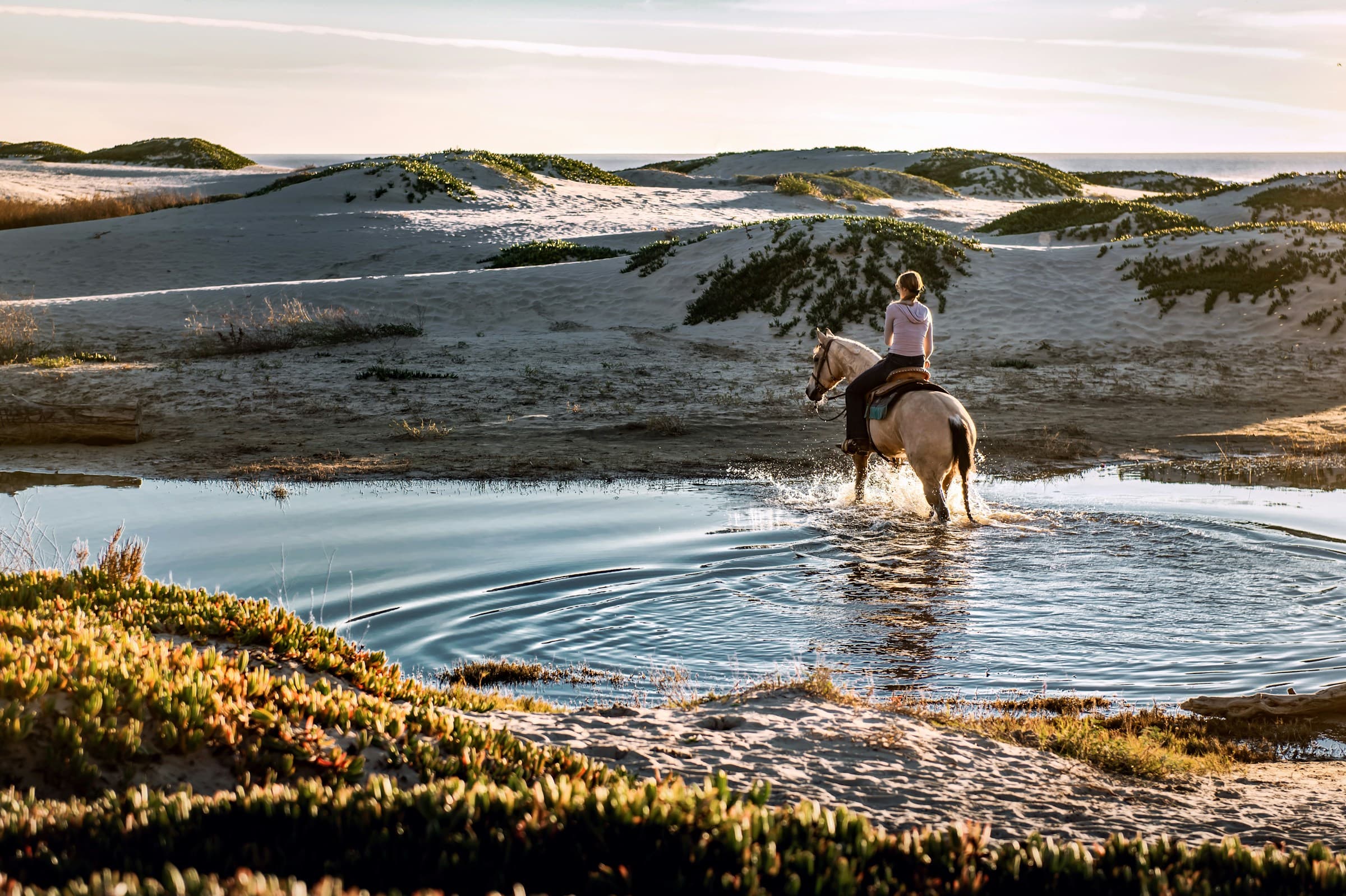Private Horse Riding — Desert Dunes & Red Sea Beach