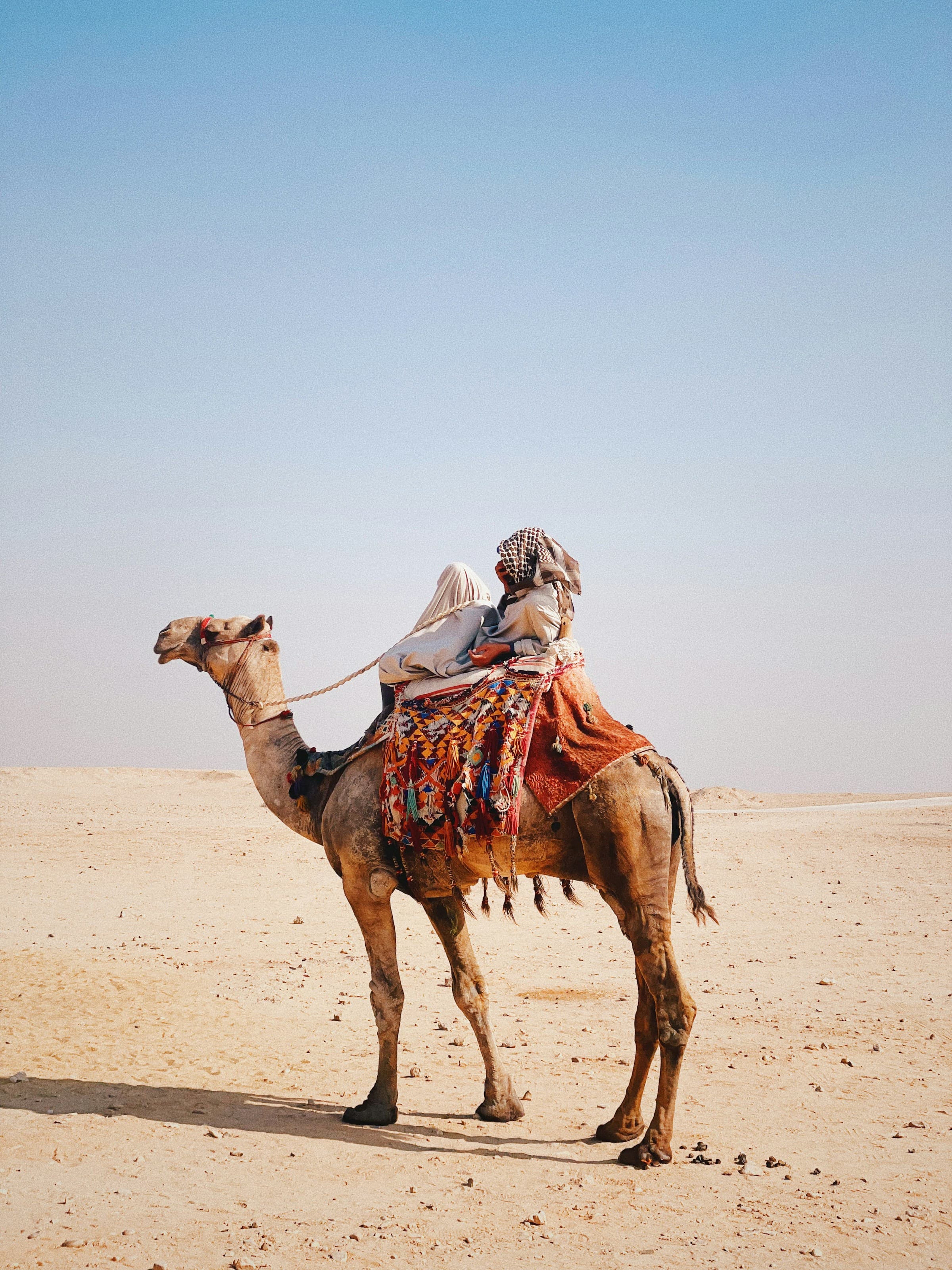 5-Hour Quad Safari — Camel Ride, BBQ Dinner & Folklore