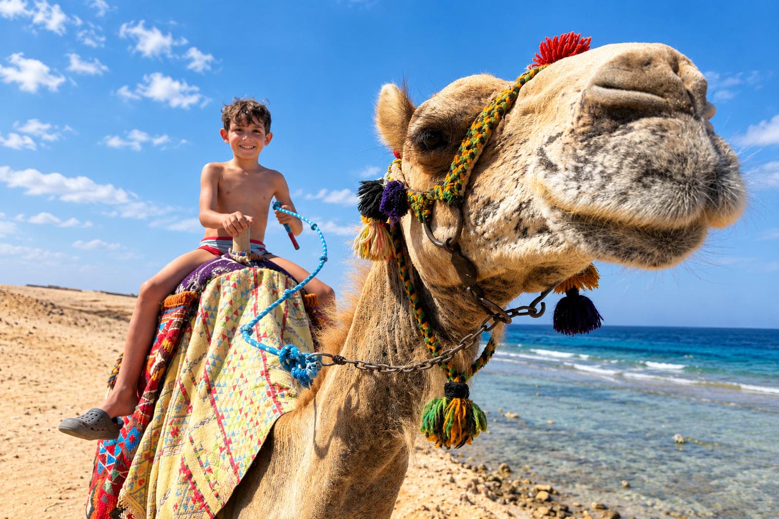 Sharm El Naga — Protected Bay Snorkeling with House Reef & Wreck