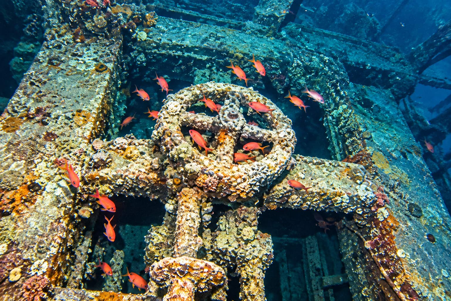 SS Thistlegorm Wreck Dive
